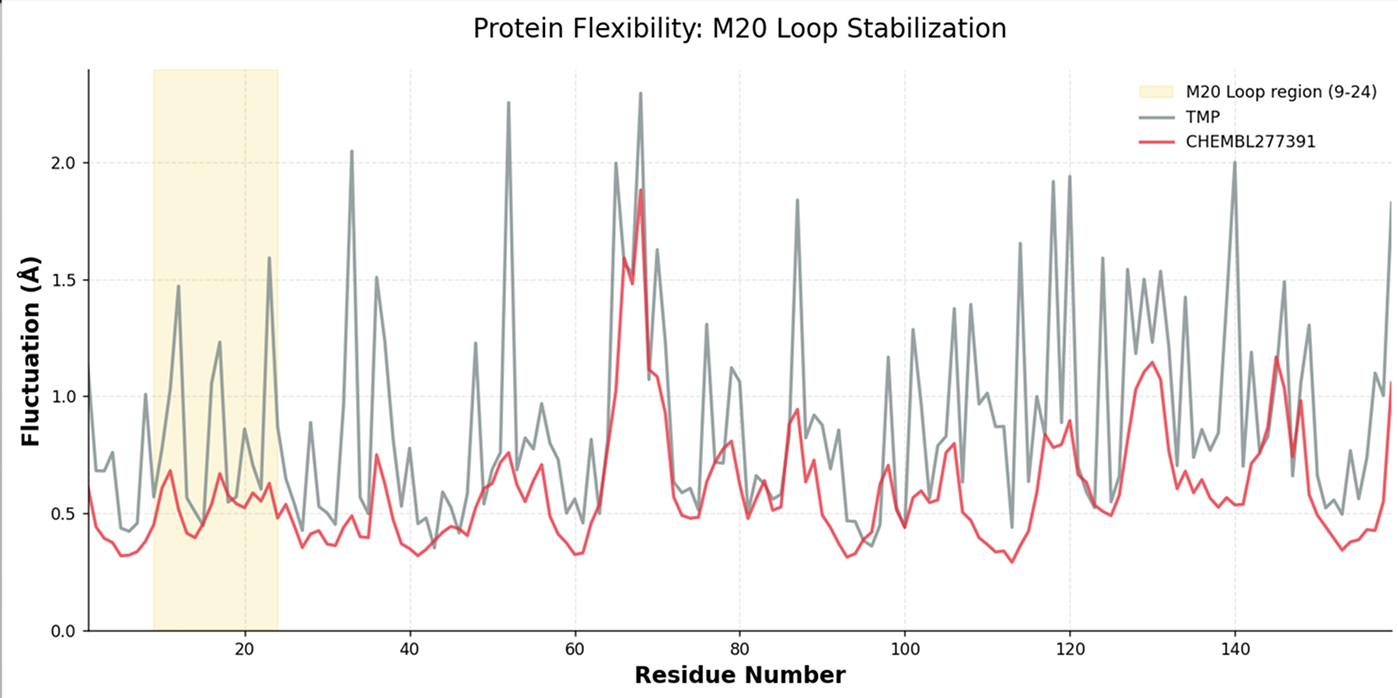Residue fluctuation in angstroms along the EcDHFR sequence for trimethoprim and a ChEMBL analogue, with the M20 loop region highlighted