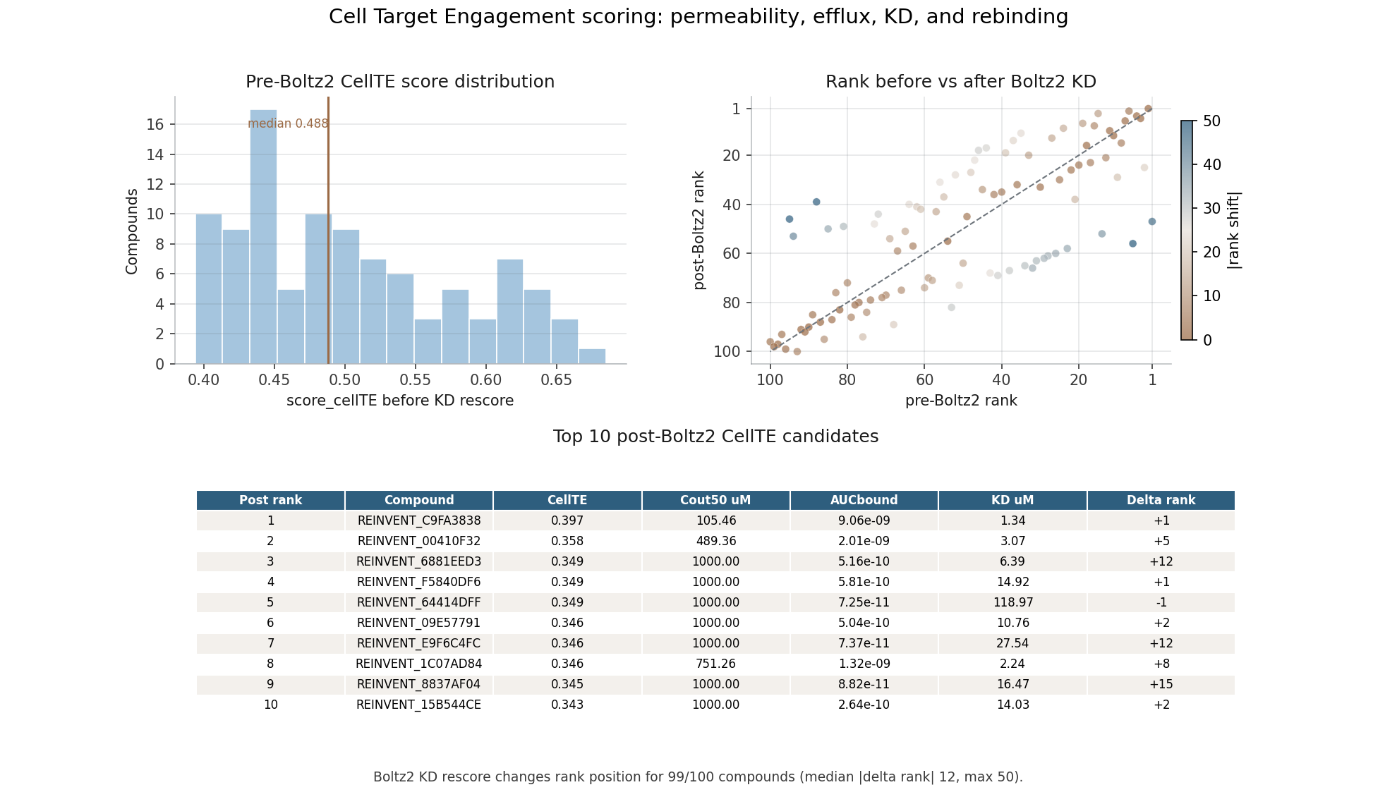 Cell target engagement scoring: distribution of pre-Boltz-2 cellTE scores, rank before versus after Boltz-2 K_D rescoring, and the top ten candidates